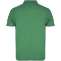 Austral koszulka polo unisex z krótkim rękawem kelly green (R66325H2)