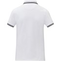 Damska koszulka polo Amarago z kontrastowymi paskami i krótkim rękawem biały (38109014)