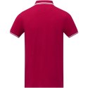 Męska koszulka polo Amarago z kontrastowymi paskami i krótkim rękawem czerwony (38108215)